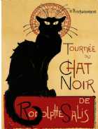 Immagine di Il chat nero