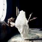 Immagine di Luna Artica