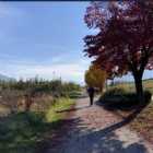 Immagine di Astolfo13