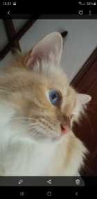 Immagine di Sergio Boldrin