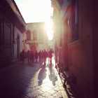Immagine di Snoopy_Ruminante