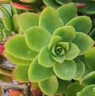 Immagine di poesiediferro