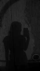 Immagine di laGinestra