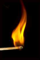 Immagine di Hugo Conte