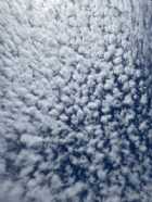 Immagine di Artedivivere145_