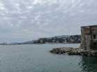 Immagine di Opollo99