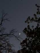 Immagine di moonshadow