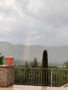 Immagine di Maurice
