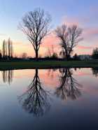 Immagine di Empatica