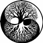 Immagine di Fabio Bax