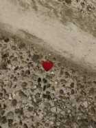 Immagine di Conpunto