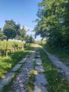 Immagine di Tra le righe