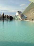 Immagine di Cole Bridgets