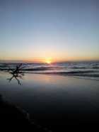 Immagine di Cavaliere nudo