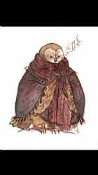 Immagine di giulia waterloo