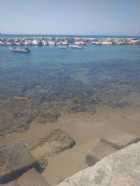 Immagine di Rosie_books