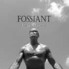 Immagine di Fossiant