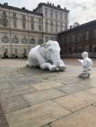 Immagine di Experimenta