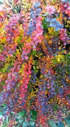 Immagine di SempreTeresa