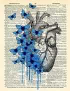 Immagine di Clarice