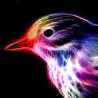 Immagine di Universal Ink