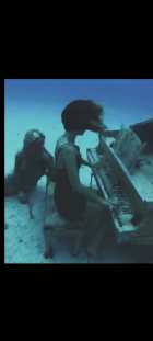 Immagine di diafanablu