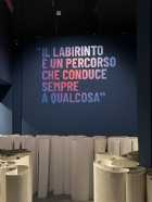 Immagine di Dany35rm