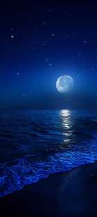 Immagine di Paolo P.