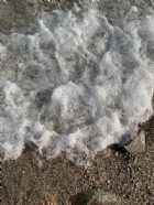 Immagine di animamia