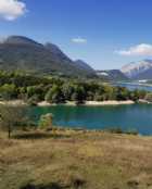 Immagine di phoenix_intheashes