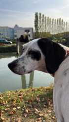 Immagine di luigimario