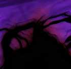 Immagine di Sanguenero