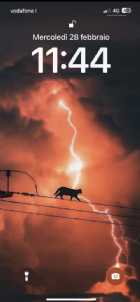 Immagine di MaldestramenteReal99