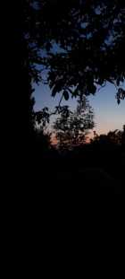 Immagine di carpe_diem