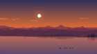 Immagine di 5ch36614
