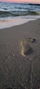 Immagine di Livingston73