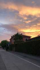 Immagine di G1RLnumber1