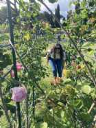 Immagine di Marta dei sogni