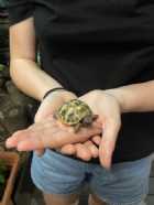 Immagine di una naufraga