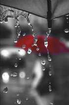 Immagine di zeropesta