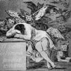 Immagine di Vivaluomosenzabarba