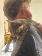 Immagine di tommyesse