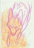 Immagine di Le_renard