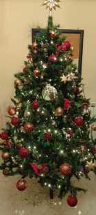 Immagine di Ezio Cinga