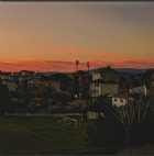 Immagine di Noce_1911