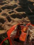 Immagine di sofia_sullenote