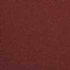 Immagine di MedusaTrasparente