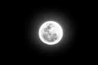 Immagine di Poeta della luna