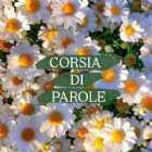Immagine di CLAUDIA G.