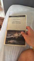 Immagine di Riccardo Spatari